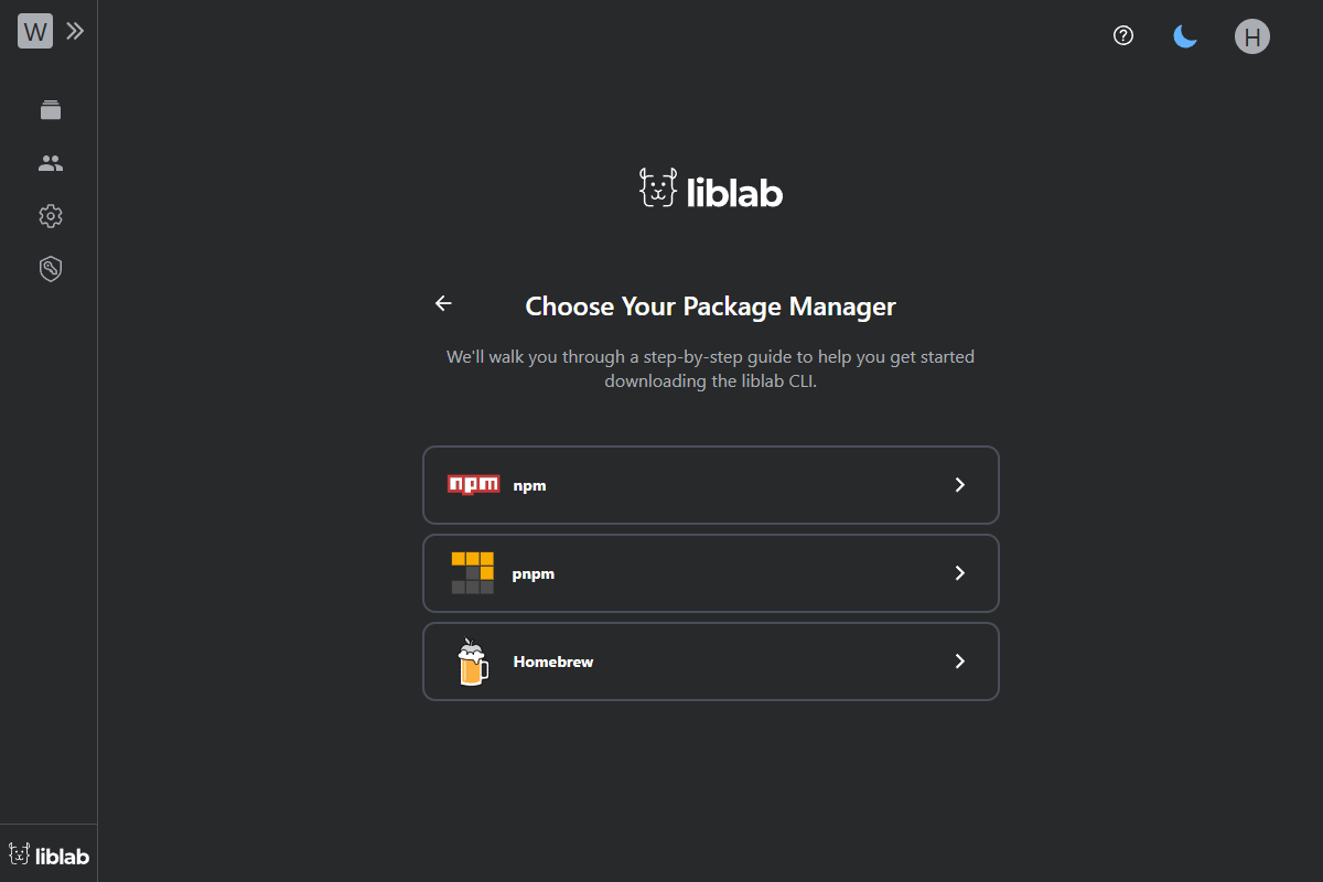 CLI package manager options