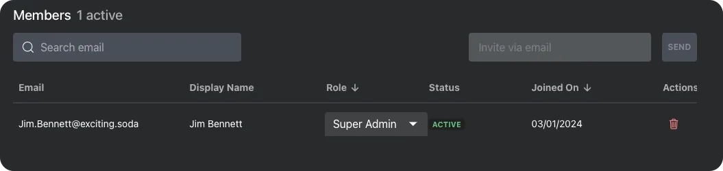 The members tab with 1 member showing with a display name, email, role, status, join date and a delete action. This also shows a search bar and an invite by email text box with a send button.
