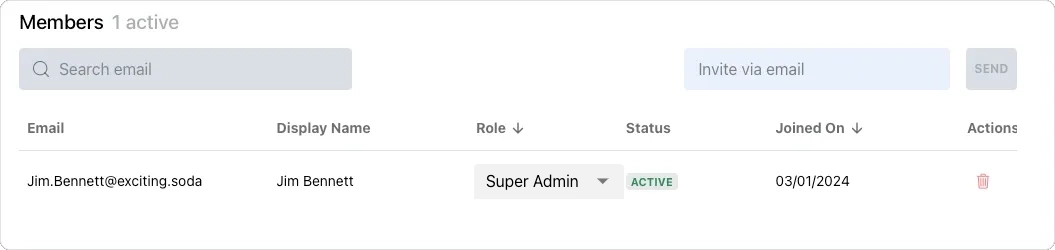 The members tab with 1 member showing with a display name, email, role, status, join date and a delete action. This also shows a search bar and an invite by email text box with a send button.